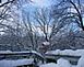 		 This beautiful picture of our backyard was taken today (February 26, 2008) from our deck. Snow is beautiful...but enough already!